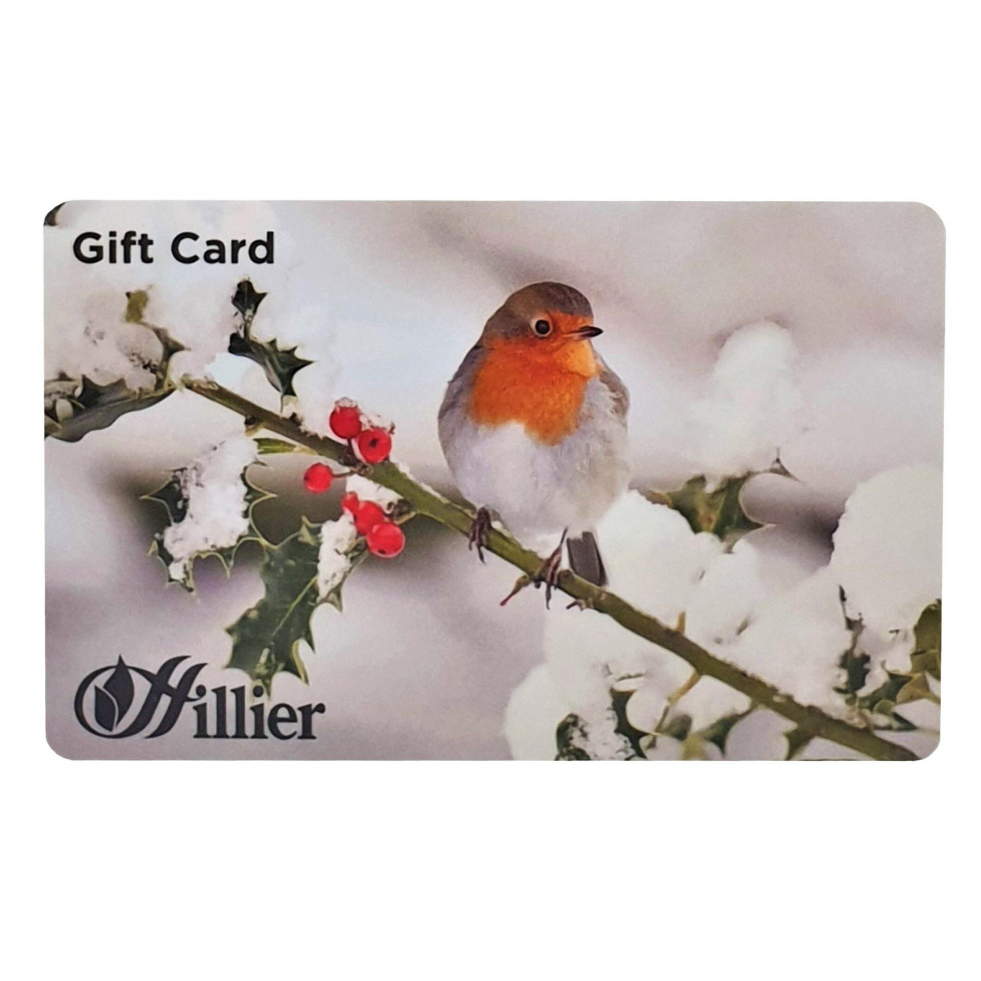 uploads/images/00251128 Gift Card Robin