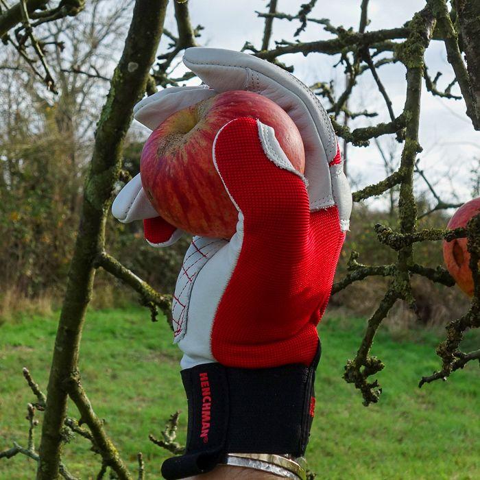 uploads/images/1 2_1