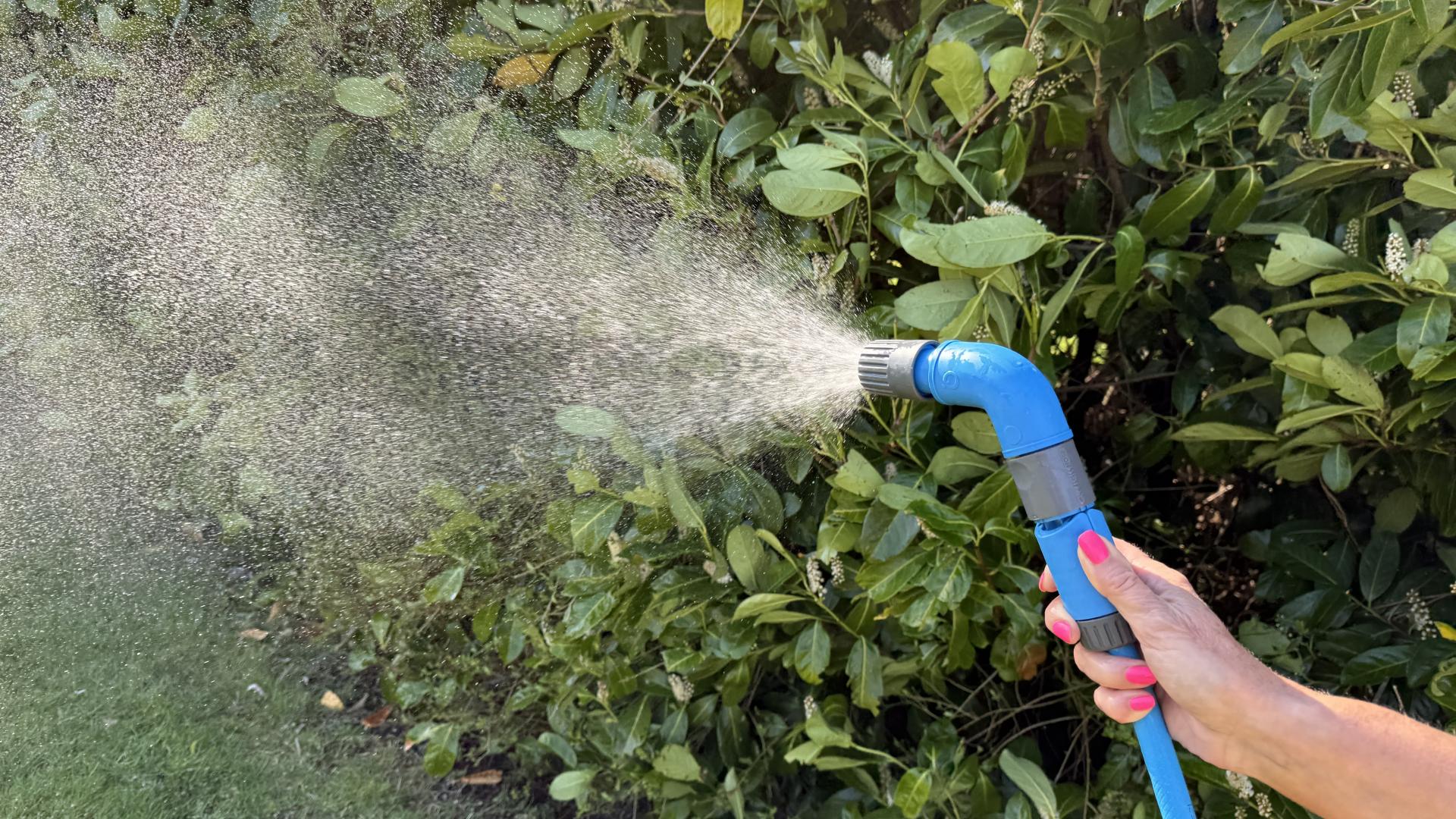 uploads/images/1 Header Under Nav Bar