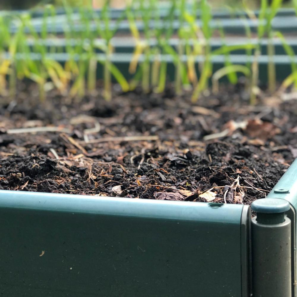 250 raised bed 1000x1000 913kb