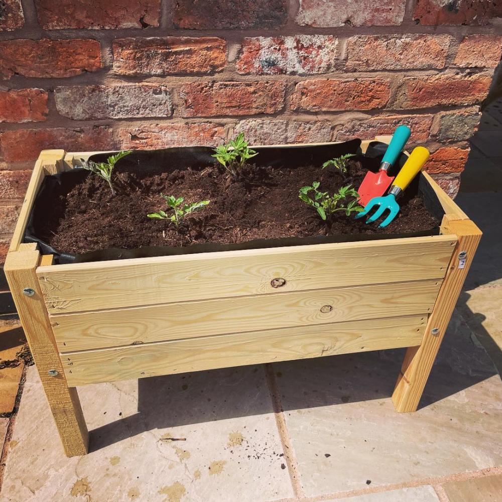 286487380_5639172152781131_6871855752805586388_n