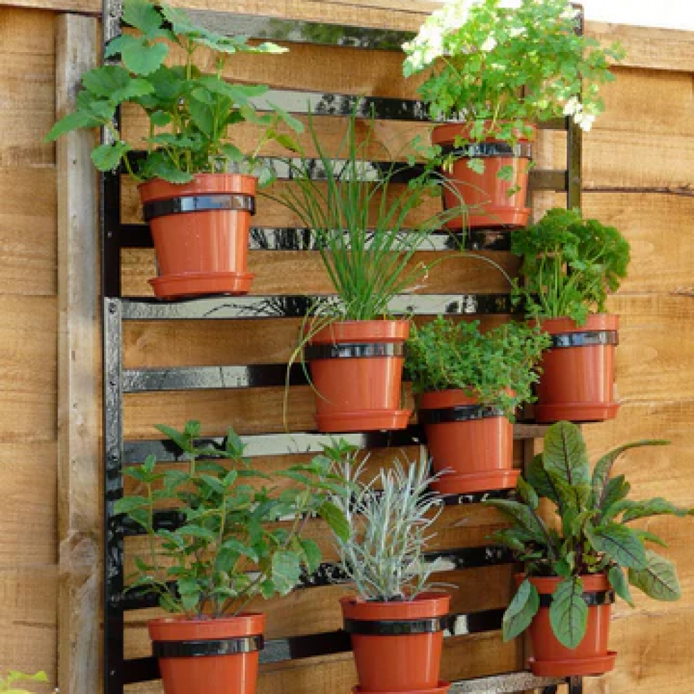 2_hanging_garden_22a9b3c9 d2cb 487f be61 10c633c3bbd9_large