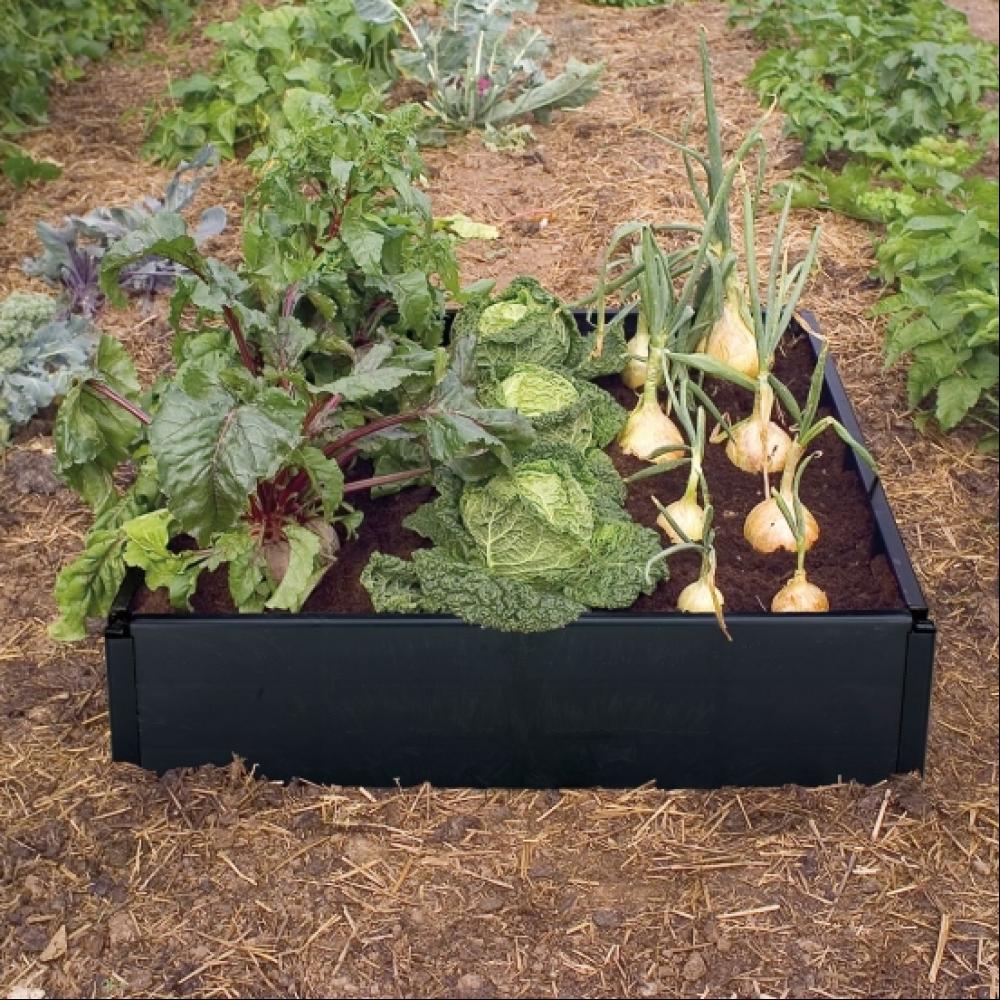 _media_catalog_product_cache_9584fdc0d14c40185a14bde60342b4cf_1_4_146a g94 grow bed mixed veg_10