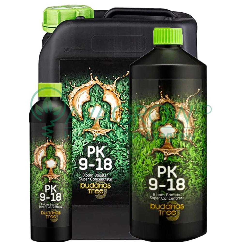 buddhas tree pk9 18 family