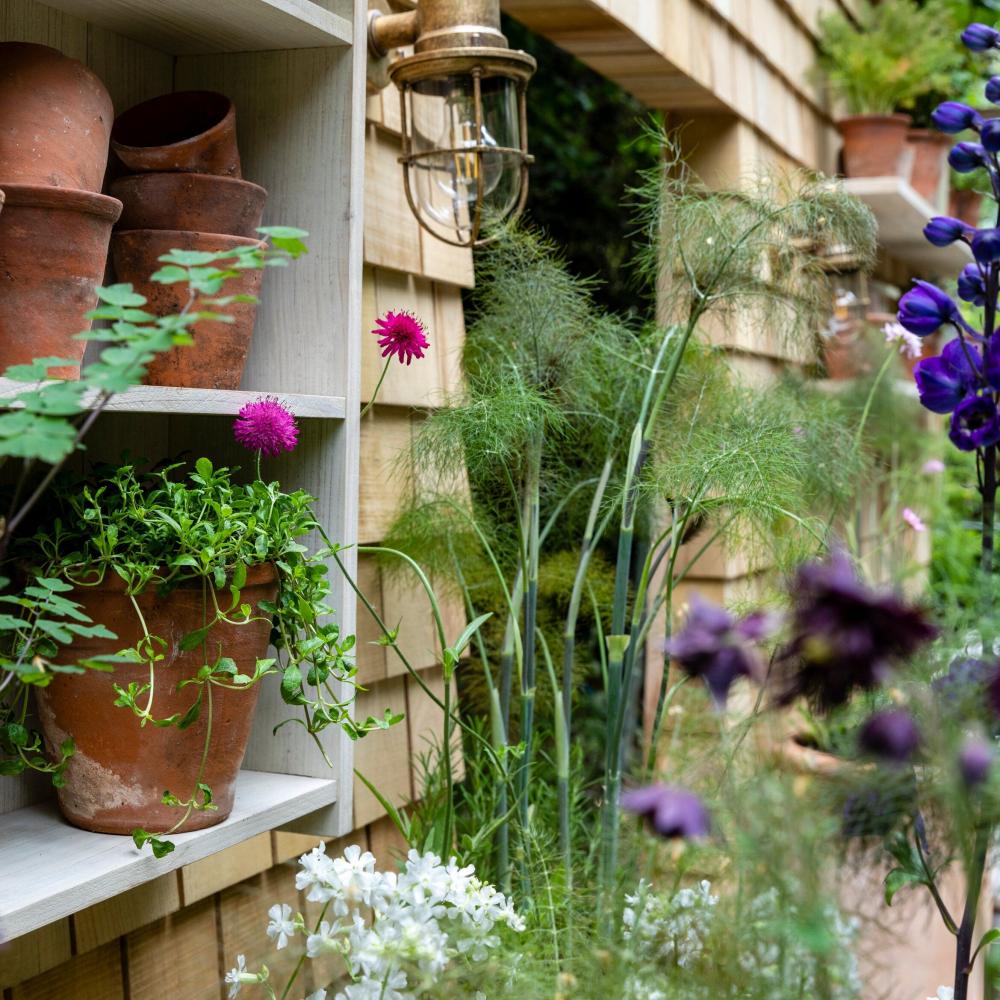 chelsea flower show 2023 the restorative balcony garden sponsored by viking 651ead5d23dcc 882f302bcc