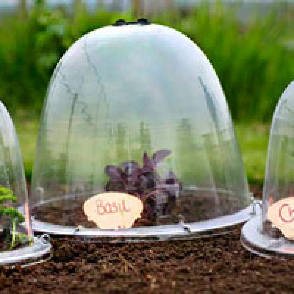 cloches