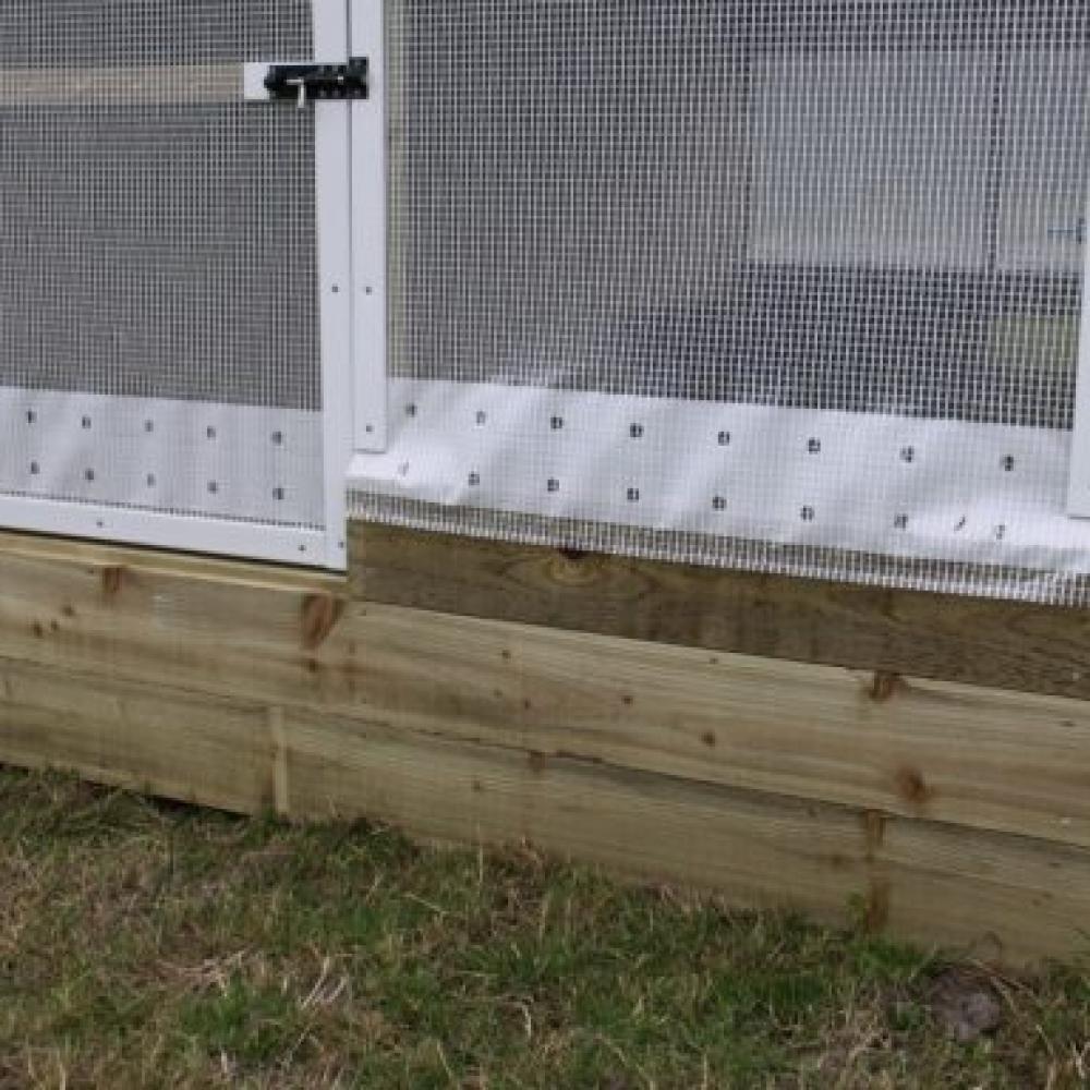 collinsnets e1418282812195 575x384