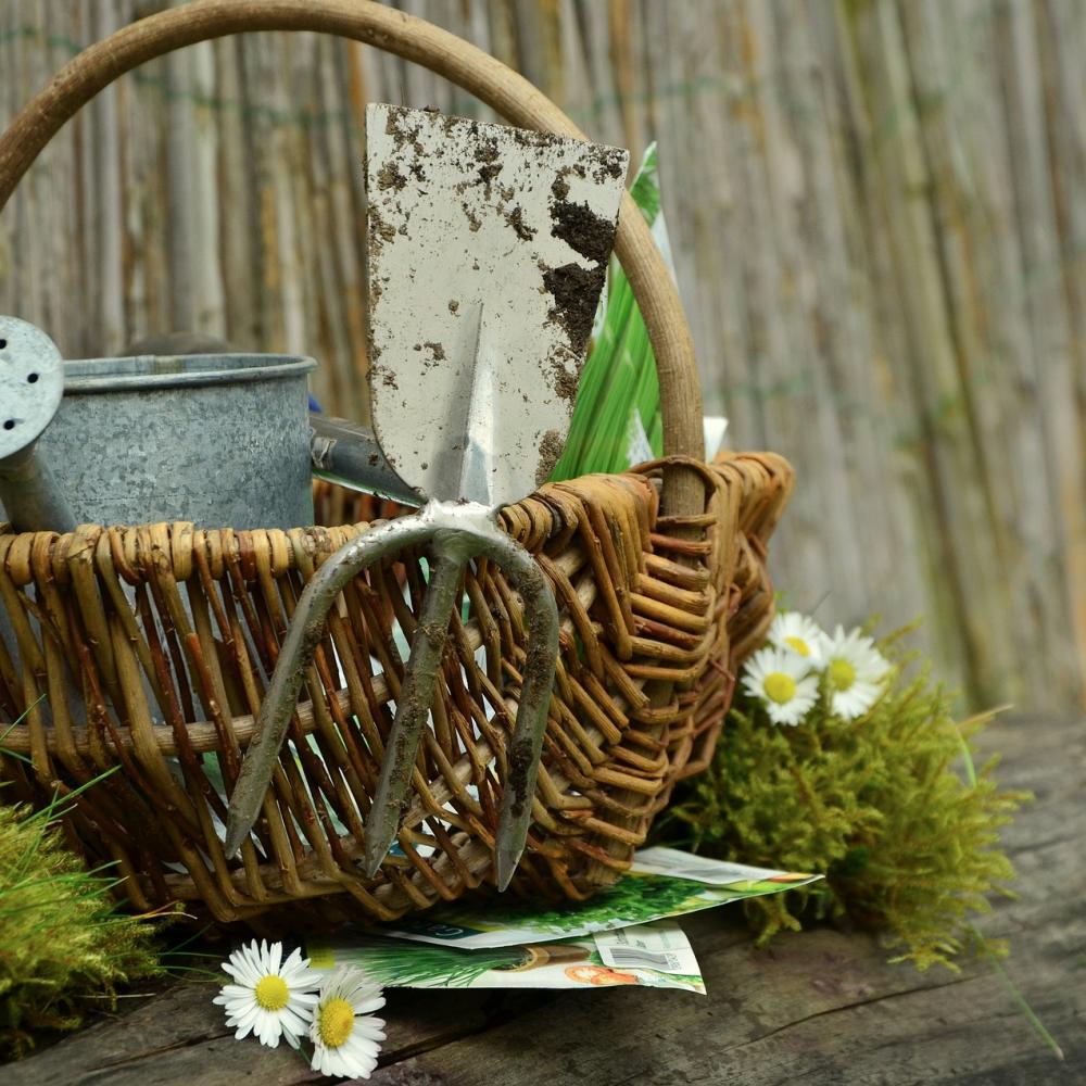 garden gafc5f093a_1920