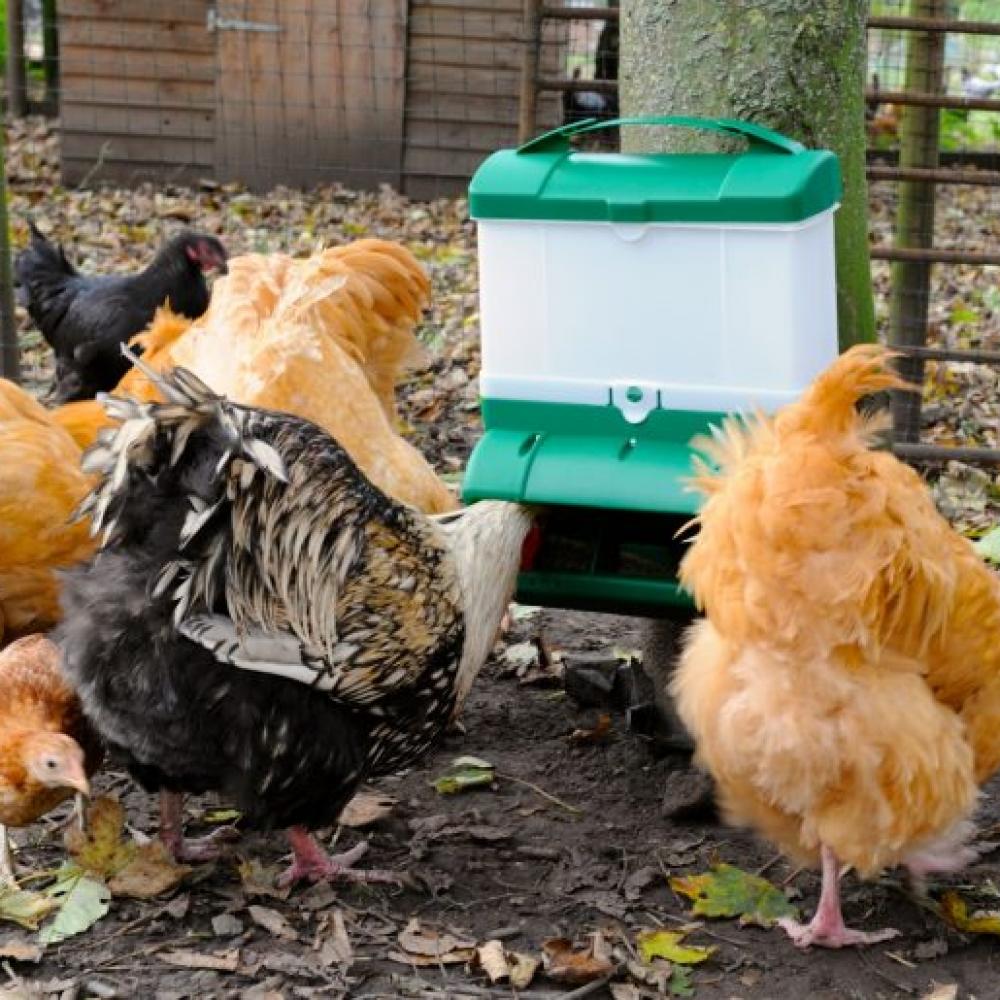 green wise feeder 4 575x515