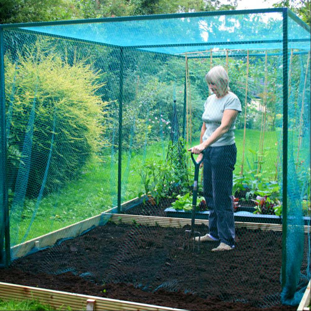 hd cage 1162x807 873kb