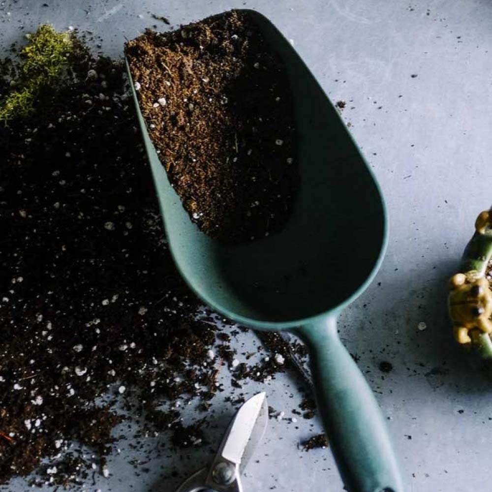 uploads/images/February Planning