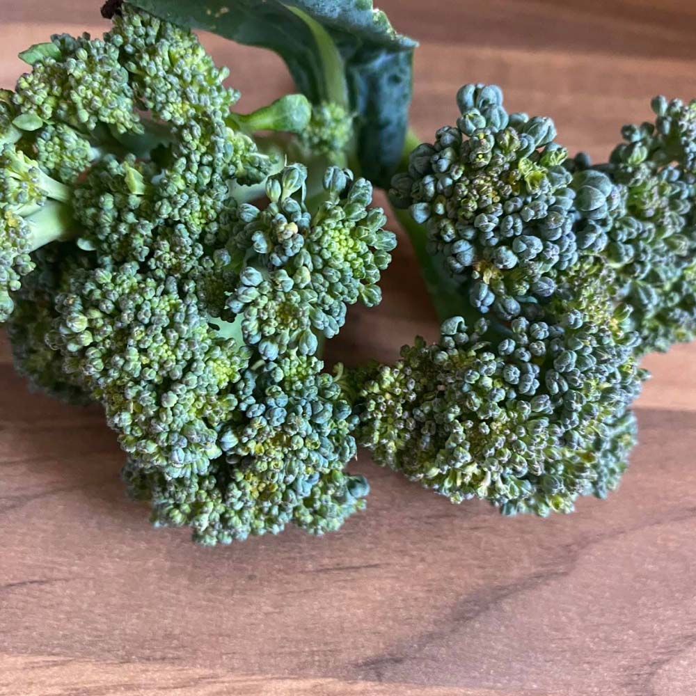 uploads/images/How to Grow