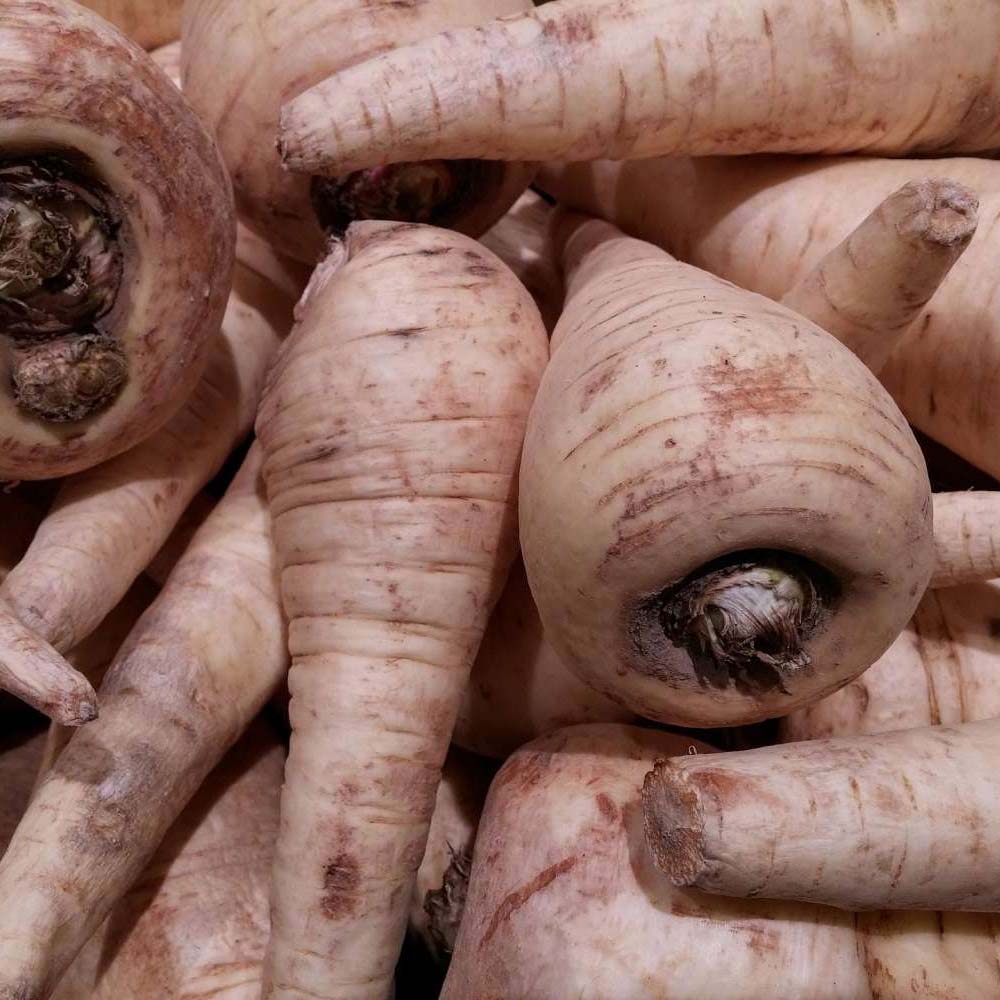 uploads/images/January