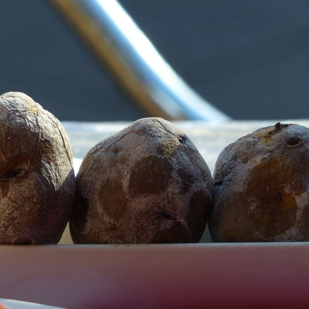wrinkly-potatoes-406480_1920.jpg