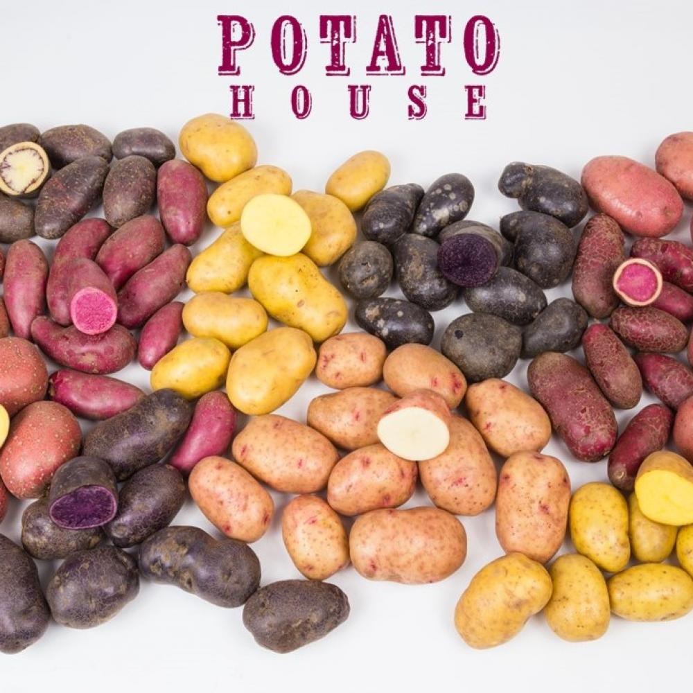 Potato House Logo with potatoes