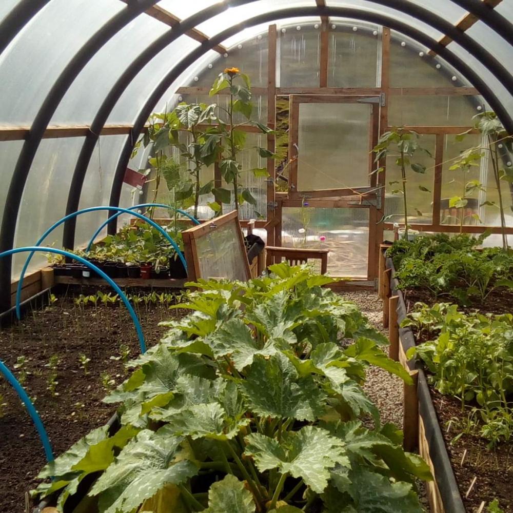 polycrub classic inside