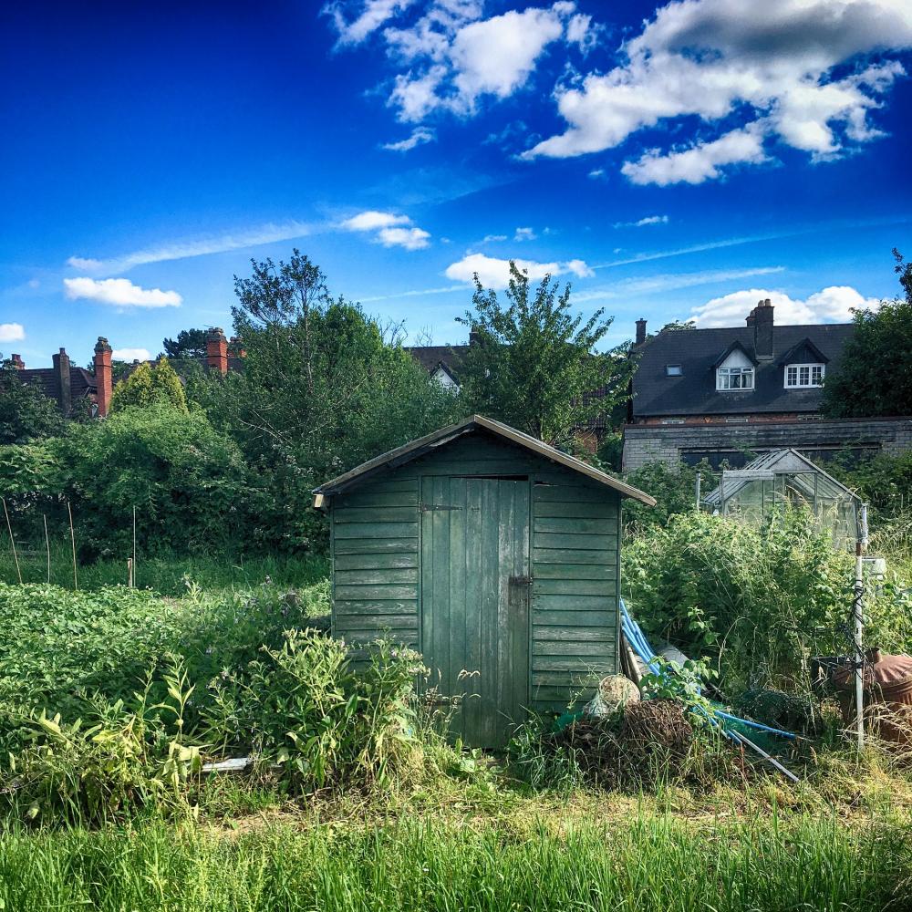 uploads/images/Allotment Insights
