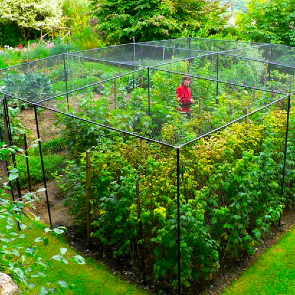 steel walk in fruit cage opt_1000x_1000x_a1e09254 622a 4345 a60f 077d27cdcbcc_500x 1