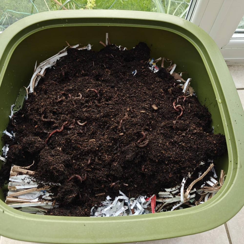 Turn Food Waste into Fertiliser 5