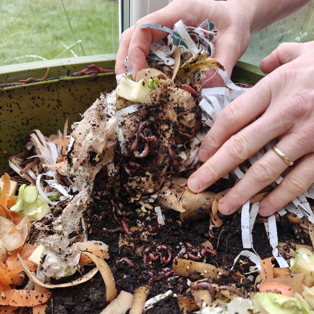 Turn Food Waste into Fertiliser 7