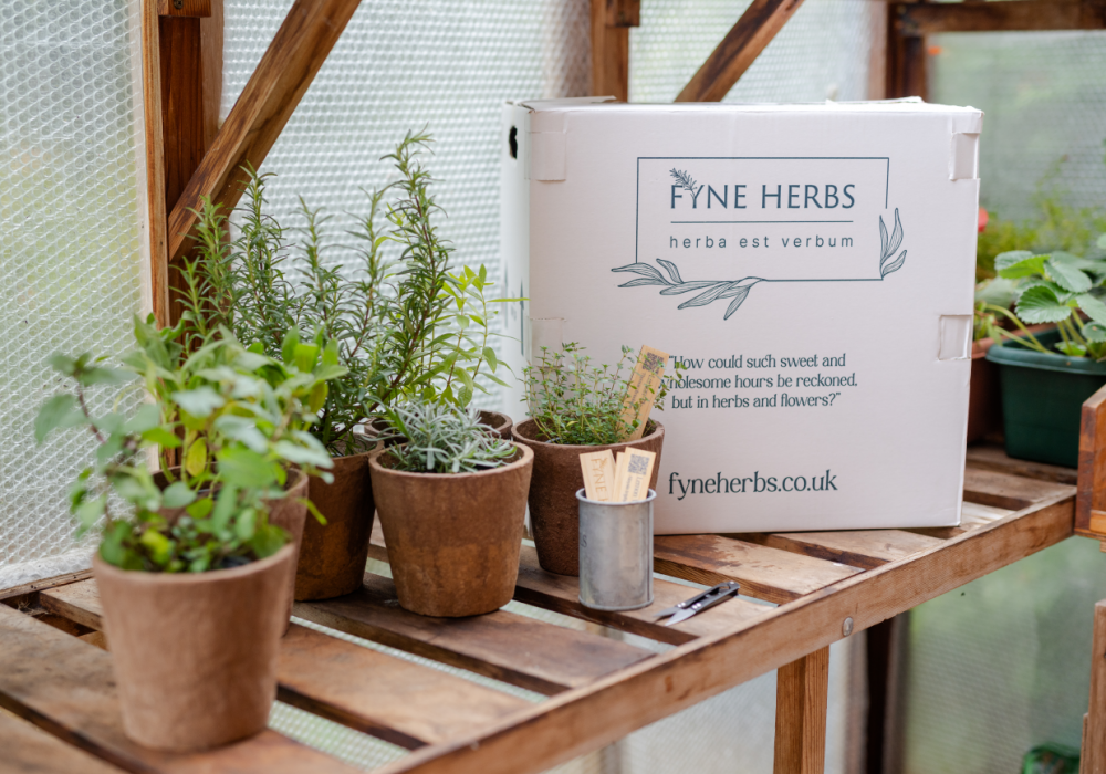 fyne herb greenhouse