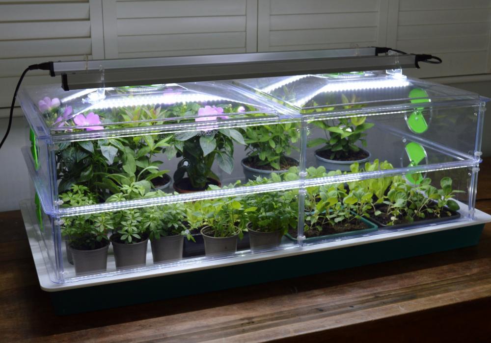 g250 g251 g270 large vitopod 2 layers with 90cm lights