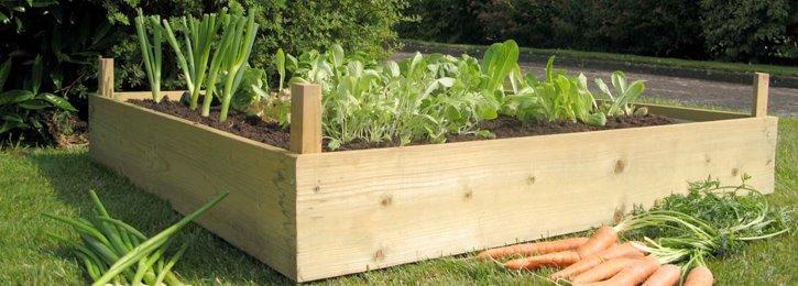 uploads/images/10314765_790144544350607_4861833565314642188_n