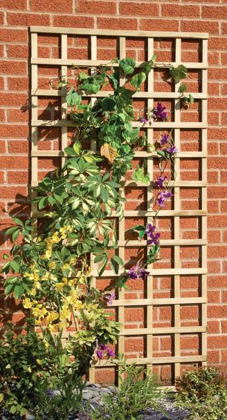 uploads/images/103440__06419