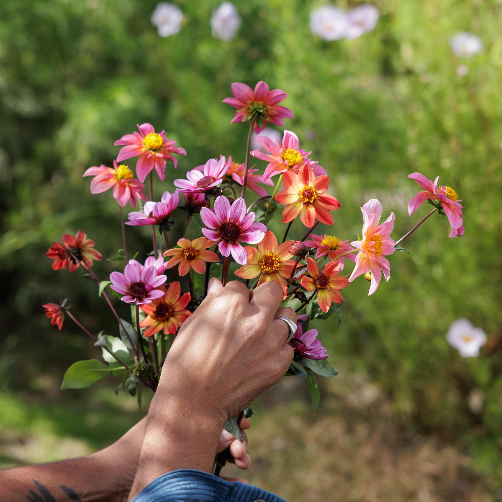 uploads/images/112a9911 2cfe4bd3fd7b142b5a0926960ff4149c