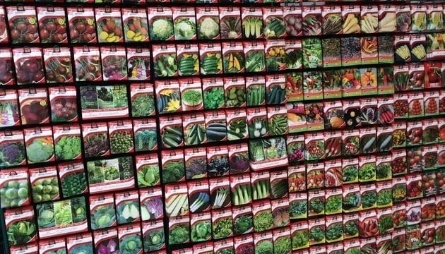 uploads/images/1345qt Seeds2 Card Wide