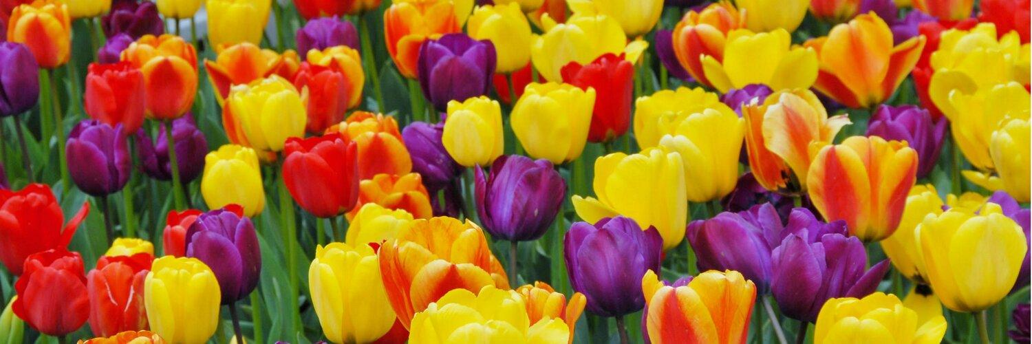 uploads/images/1500x500