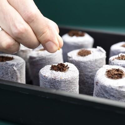 uploads/images/1715952896