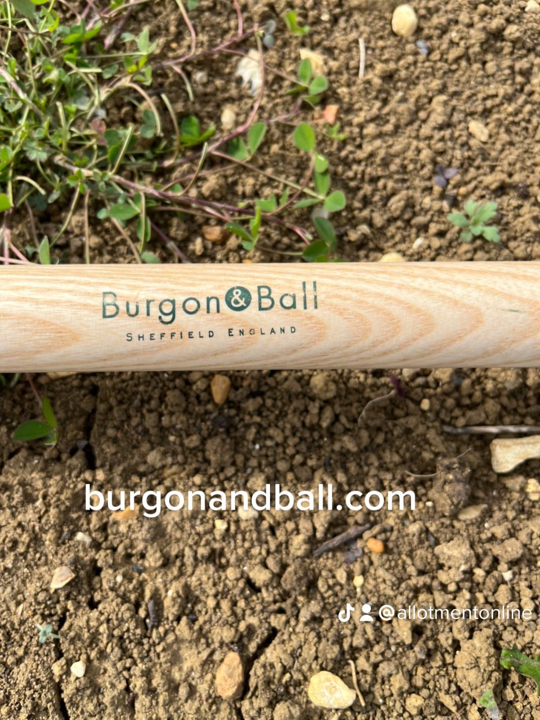 uploads/images/17876ffa E87b 4aeb 8c48 Ca7d05b4cfc1