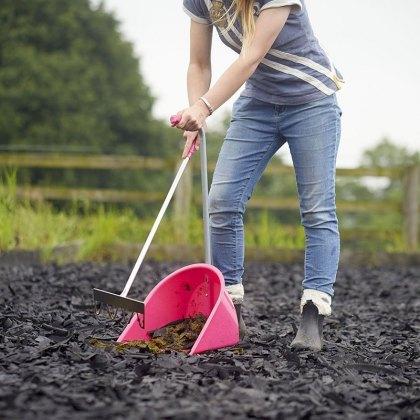 uploads/images/1869_21233