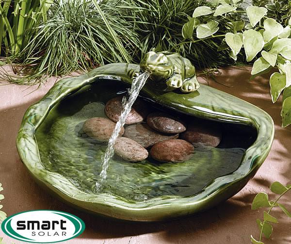 uploads/images/2007frogfeature Large