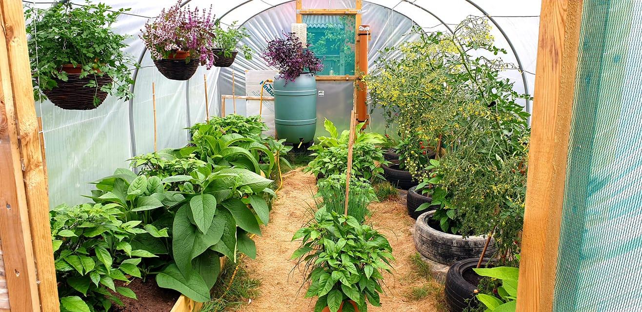 uploads/images/231657481_4094345283993898_3884065509556242954_n