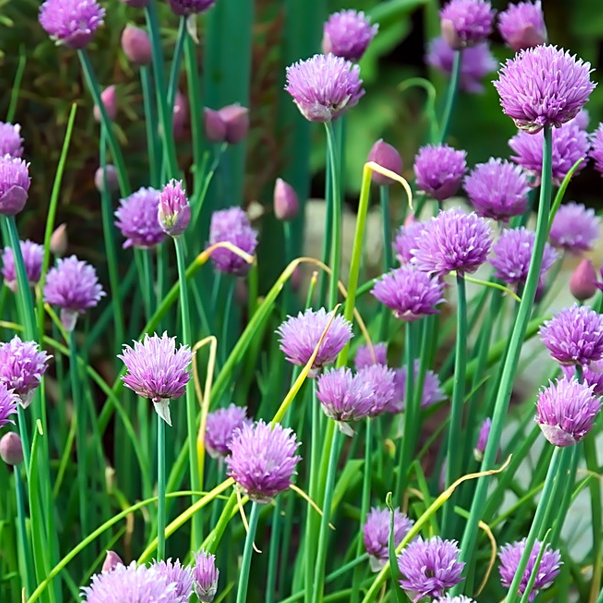 uploads/images/263962006_101521229049382_3194213741592843816_n