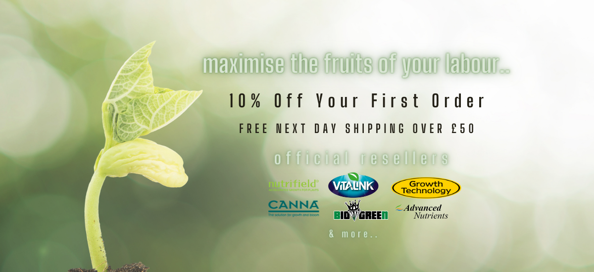 uploads/images/274716050_104523402186118_1495308078193033617_n