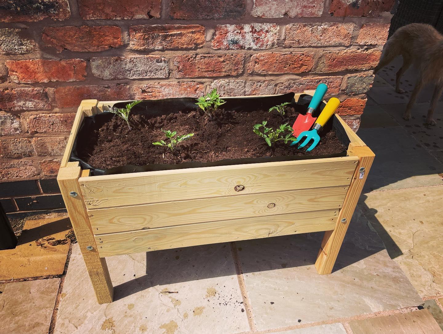 uploads/images/286487380_5639172152781131_6871855752805586388_n