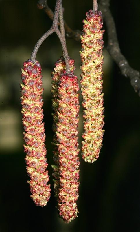 uploads/images/29220c2ea9a251a86afd2b90e72e