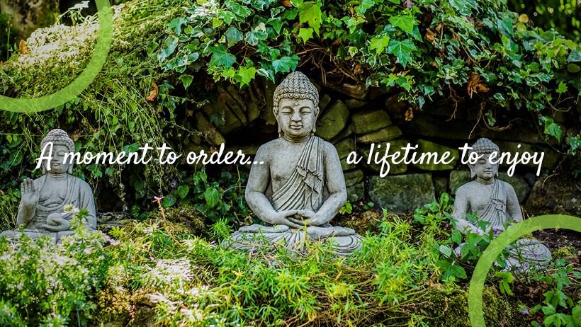 uploads/images/295670685_421712853308676_4498290789365406437_n