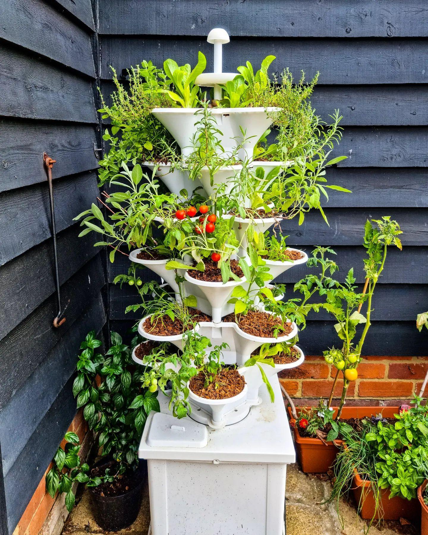 uploads/images/300589444_1412493729247339_8937859080815413176_n