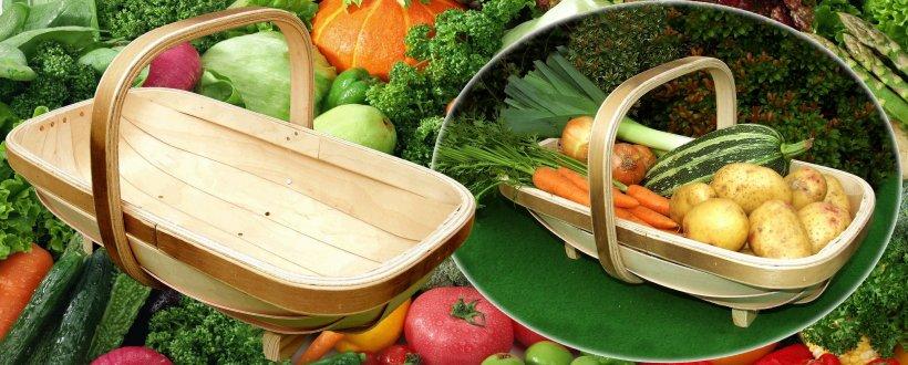 uploads/images/302541713_377996174546606_5090586321616027859_n