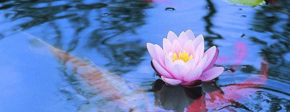 uploads/images/305645833_593351895714189_3719385225173896427_n