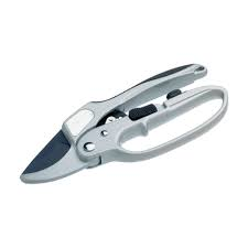 uploads/images/313303