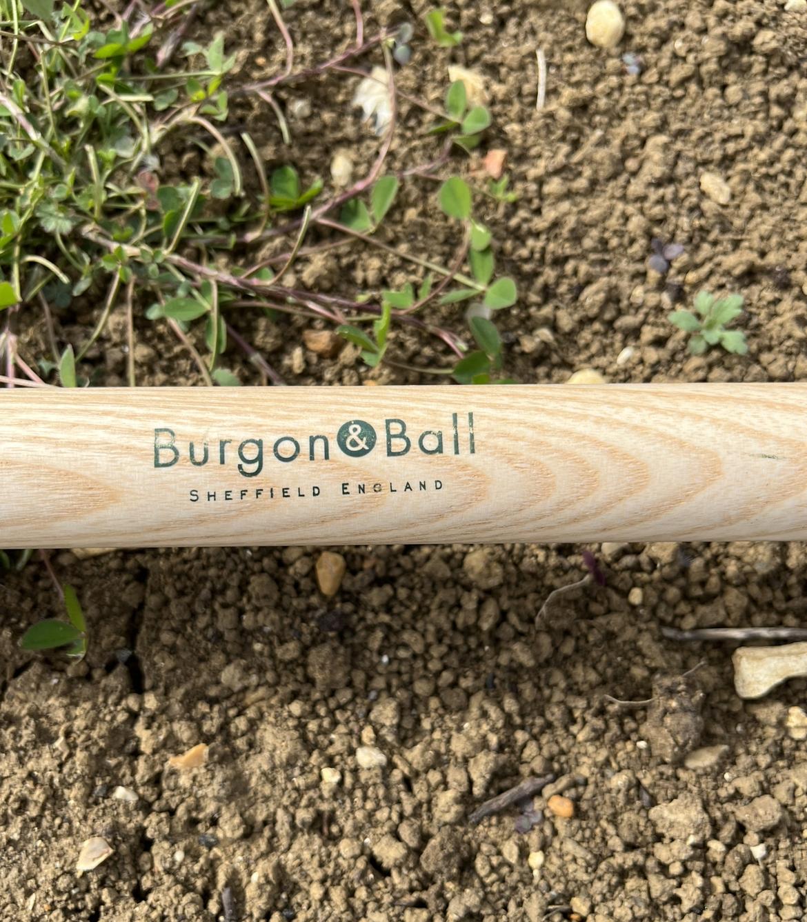 uploads/images/313feaf7 5c64 45d1 A986 43b53c947b4b