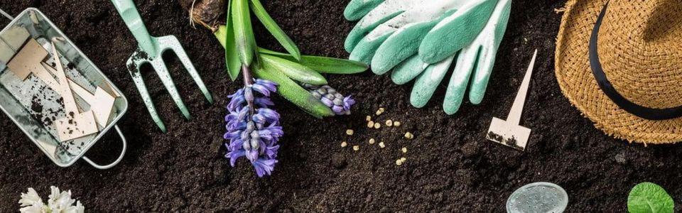 uploads/images/315291298_217061300653258_4856803085577559393_n