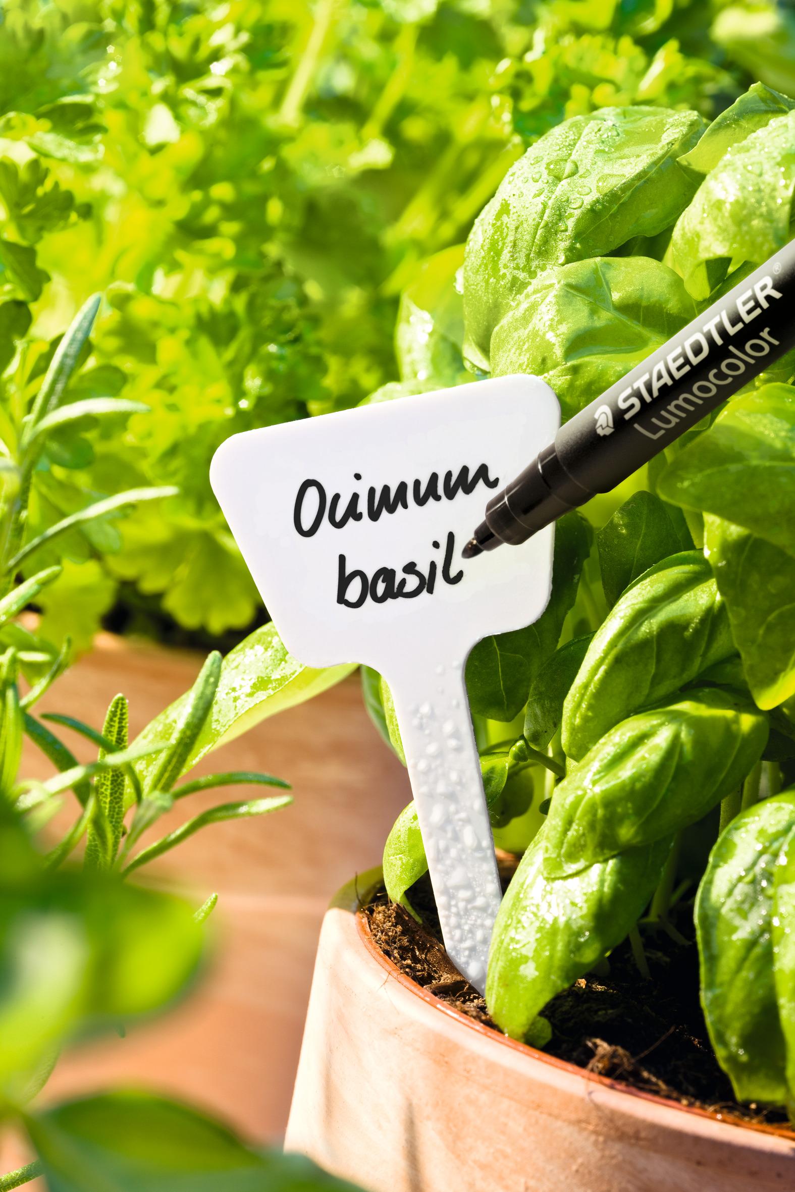 uploads/images/319_gm_m 9_standard_application_anwendung