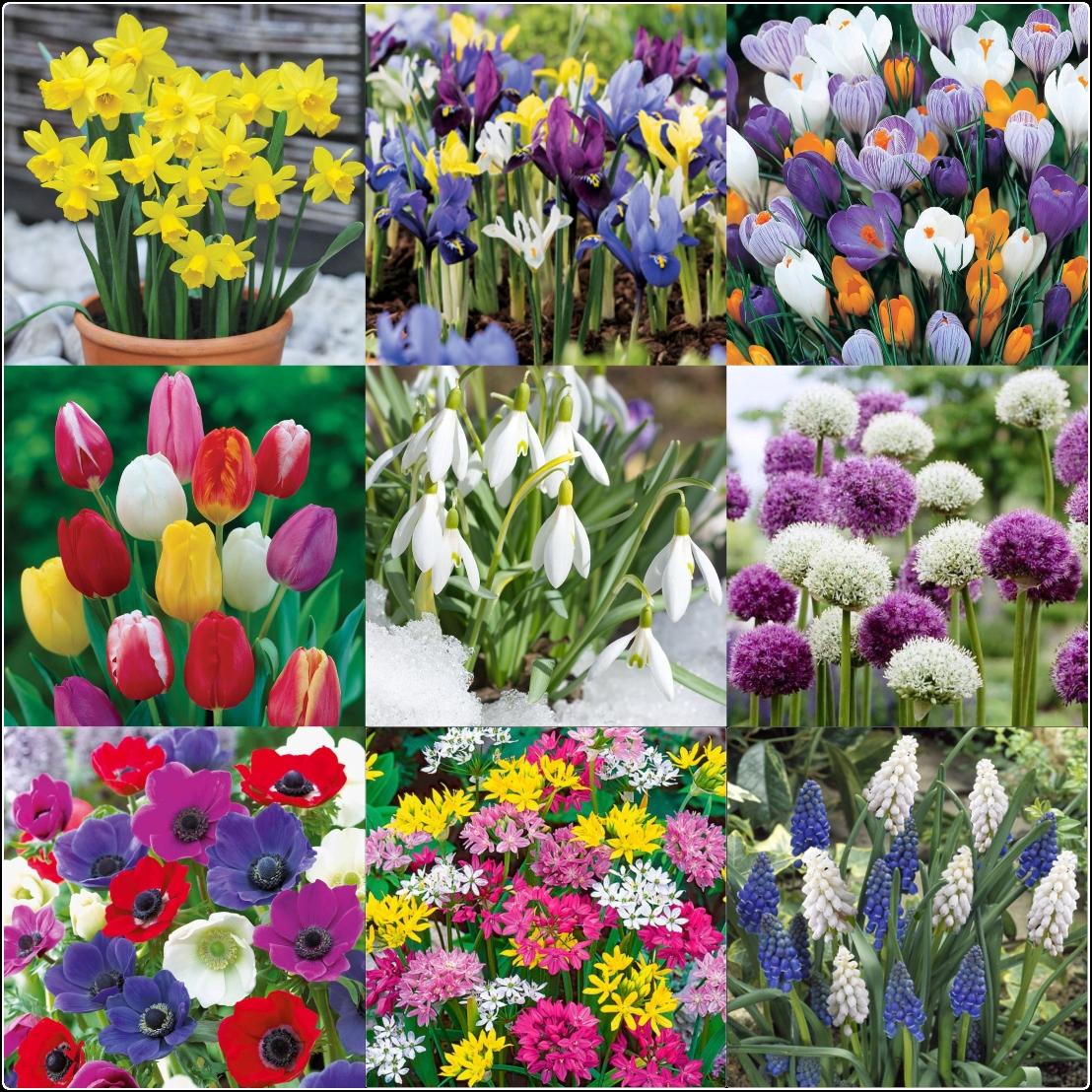 uploads/images/325558247_1381362879300317_4057644473963085503_n