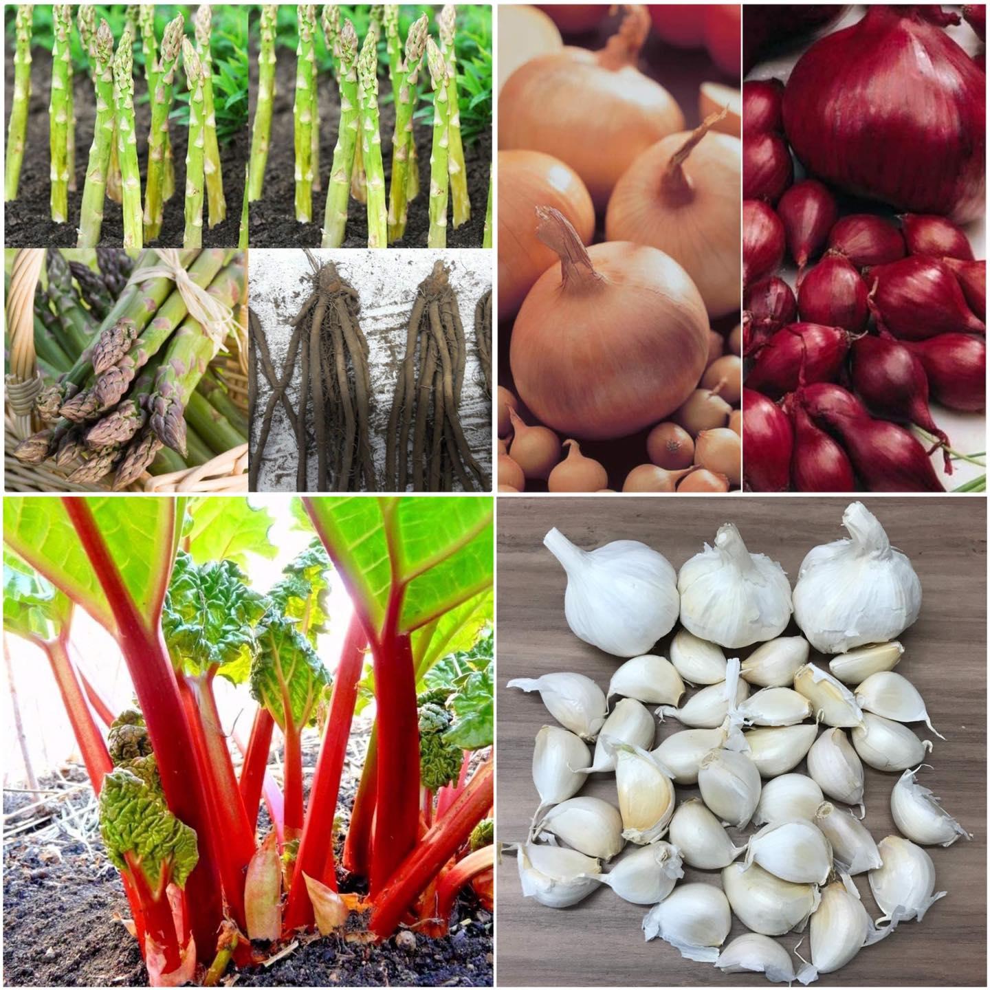 uploads/images/328326502_491032069852246_5025189999415528546_n